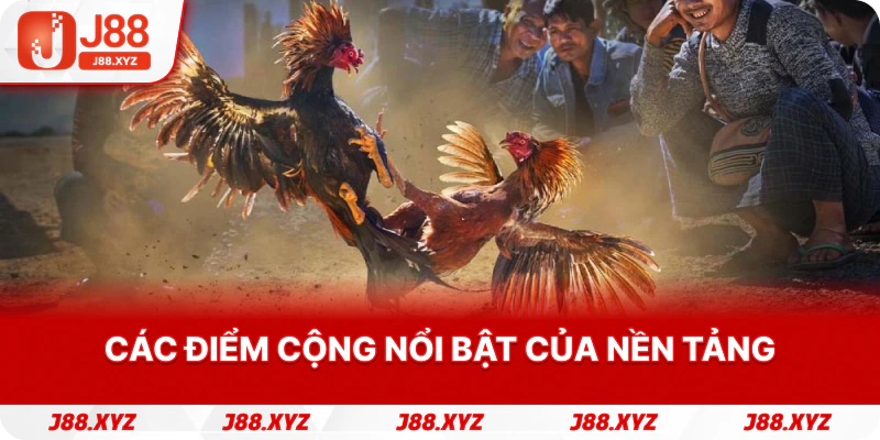 Các điểm cộng nổi bật của nền tảng