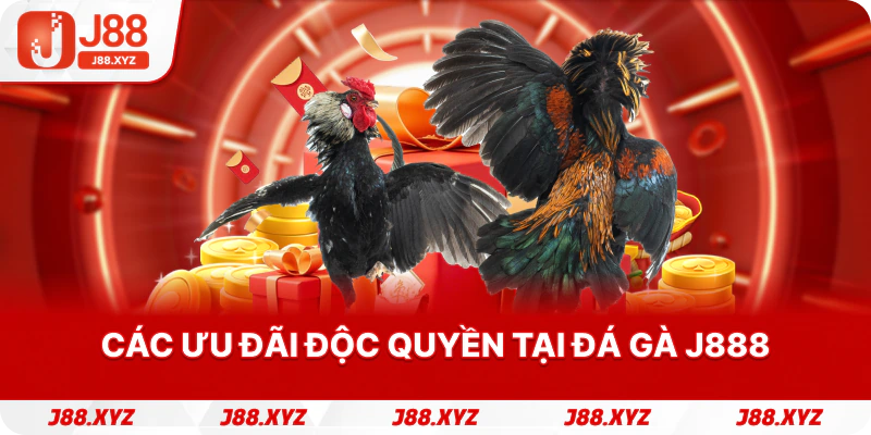 Các ưu đãi độc quyền tại Đá gà j888