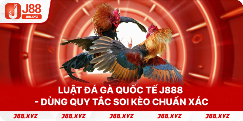 Luật Đá Gà Quốc Tế J888 - Dùng Quy Tắc Soi Kèo Chuẩn Xác